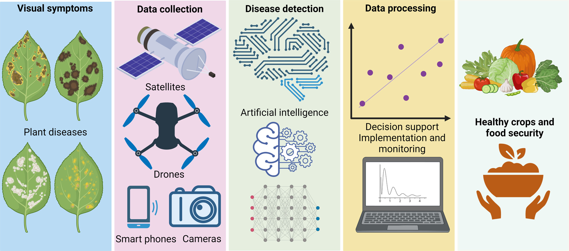 AI-Based Crop Disease Detection: Stopping Outbreaks Before They Spread